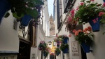 calleja de las flores