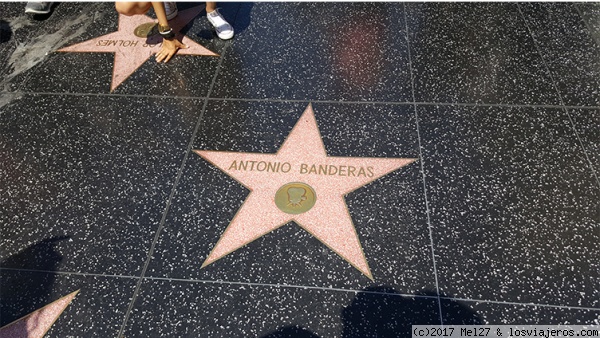 Paseo de la fama
Paseo de la fama
