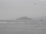 Alcatraz con niebla