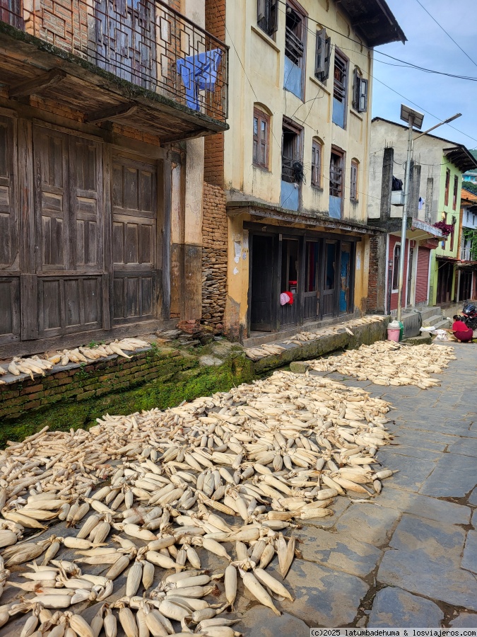 Viaje a India y Nepal Julio 2025 - Blogs de Asia - Día 13:  Bandipur.  Un pueblo en las montañas. (5)