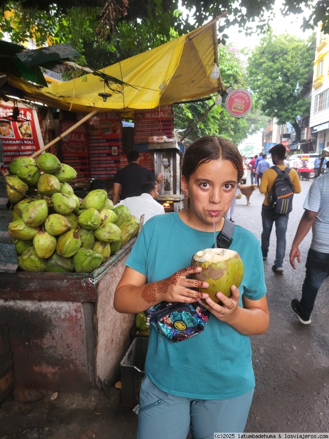 Viaje a India y Nepal Julio 2025 - Blogs de Asia - Dia 6:  Delhi.   Ultimas visitas.  Ultimas compras. (4)