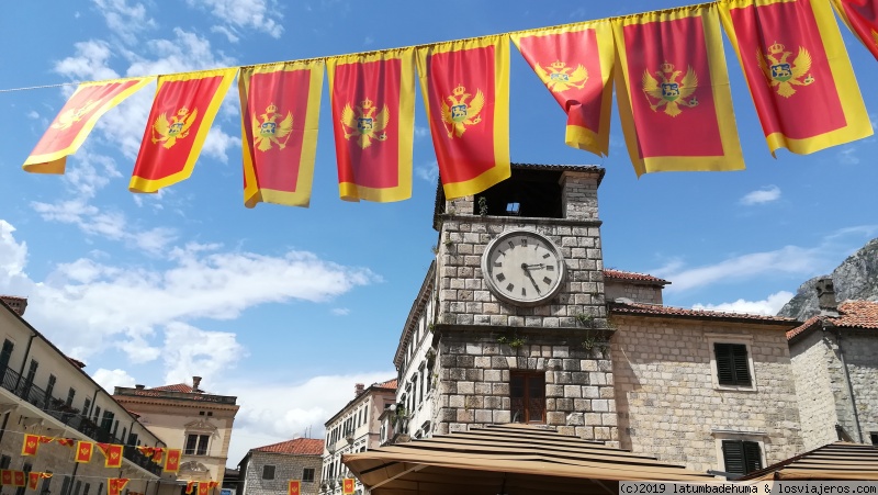 Montenegro: Kotor:  donde se vende gatitos al por mayor - Montenegro, Croacia, Dolomitas, por tierra, mar y aire. (3)