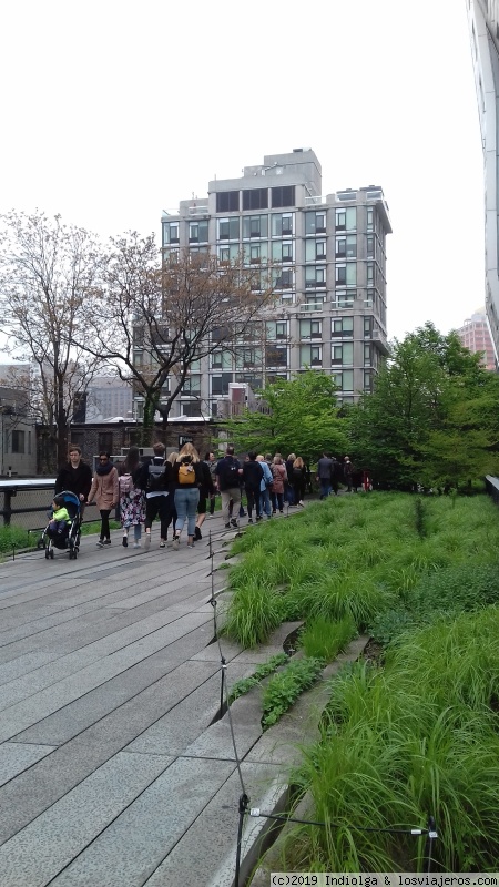 DIA 4. HIGHT LINE, CHELSEA, CENTRAL PARK - Puente de mayo en New York (2)