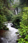 PAISAJE COSTA RICA