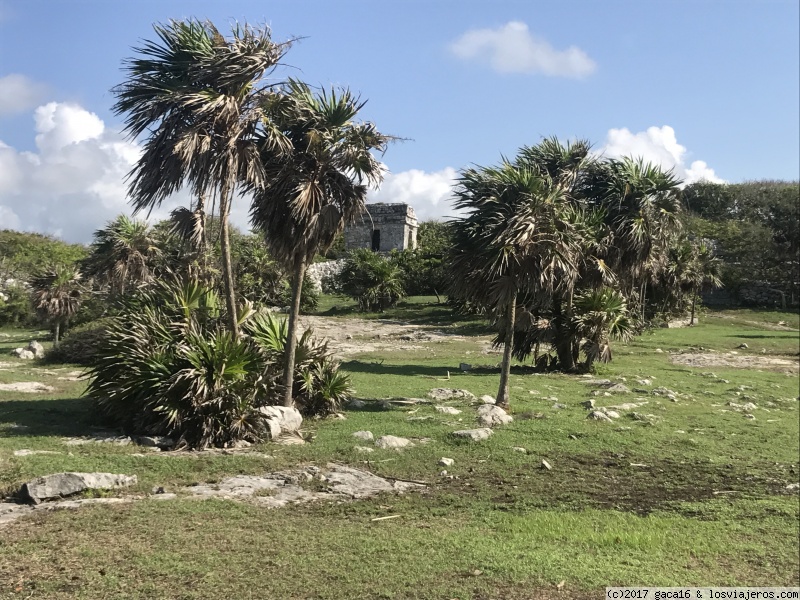 Tulum, Playa Paraiso, Gran Cenote y Coba - RIVIERA MAYA 2017 (1)