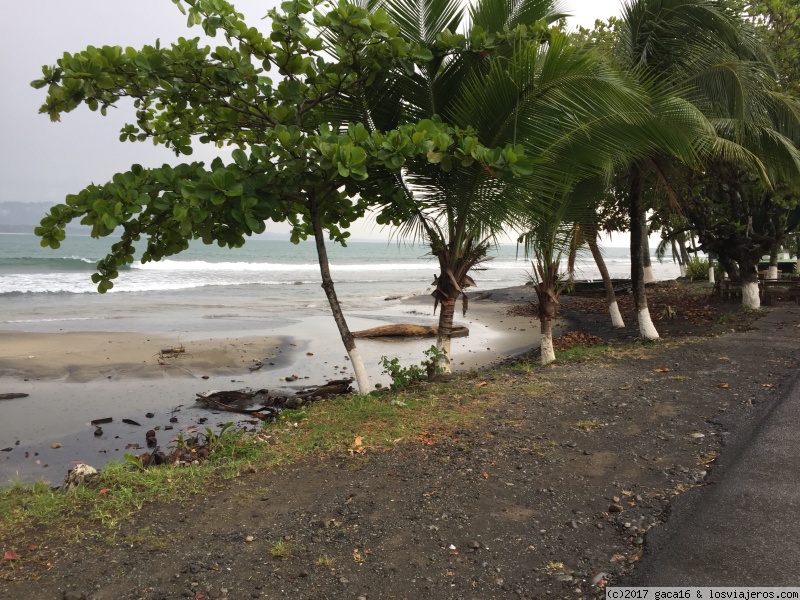 COSTA RICA, luna de miel 2016 - Blogs de Costa Rica - San José- Caribe Sur (4)