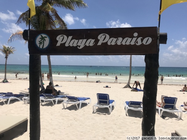Playa Paraíso - Riviera Maya - Foro Riviera Maya y Caribe Mexicano