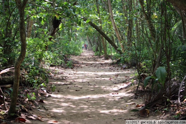 PARQUE NACIONAL CAHUITA
PARQUE NACIONAL CAHUITA
