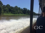 CANALES TORTUGUERO