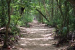 PARQUE NACIONAL CAHUITA