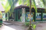 tortuguero
tortuguero