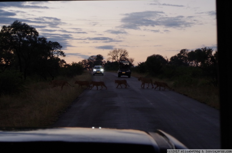 Días 5 a 8 - 12 días por Sudáfrica y Zimbabwe (1)