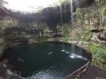 Cenote selva maya