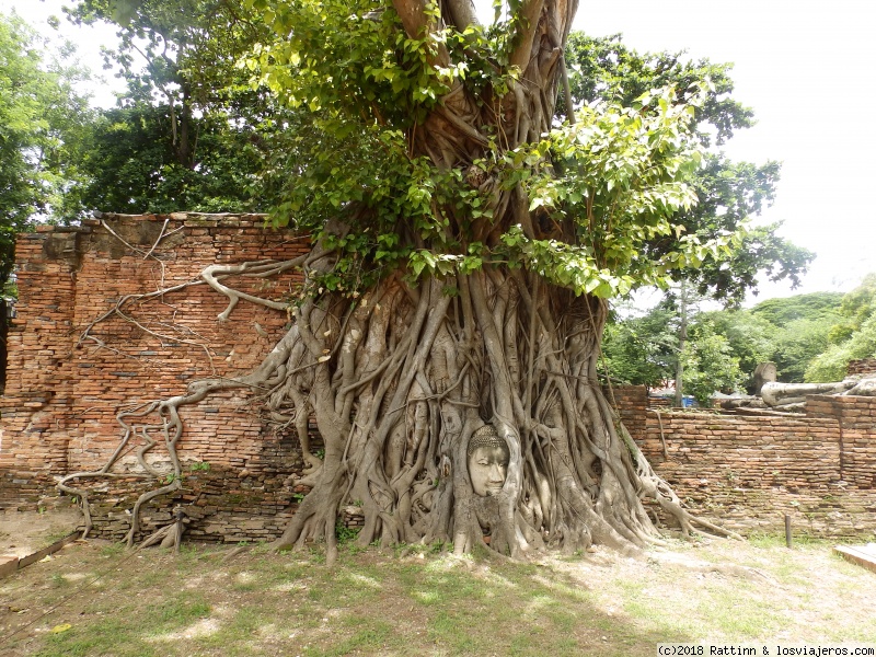 Día 4 - Ayutthaya por libre - Tailandia 2018 (2)