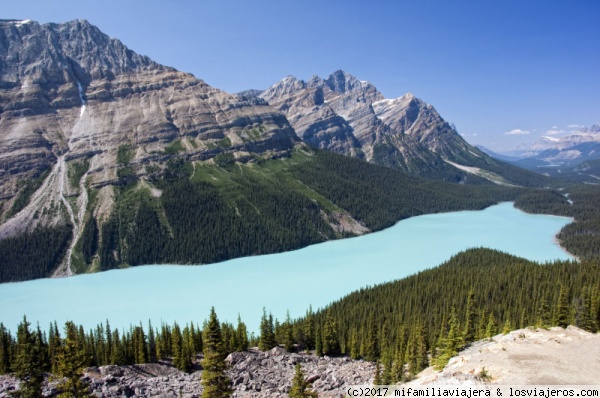 Lago Peyto
Foto del lago Peyto tomada desde el mirador que existe en la ruta entre Banff y Jasper
