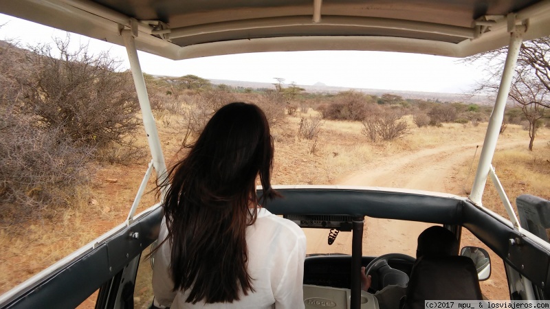Safari en Kenia - Blogs de Kenia - Día 3 y 4. Viaje a Samburu y primeros safaris (2)