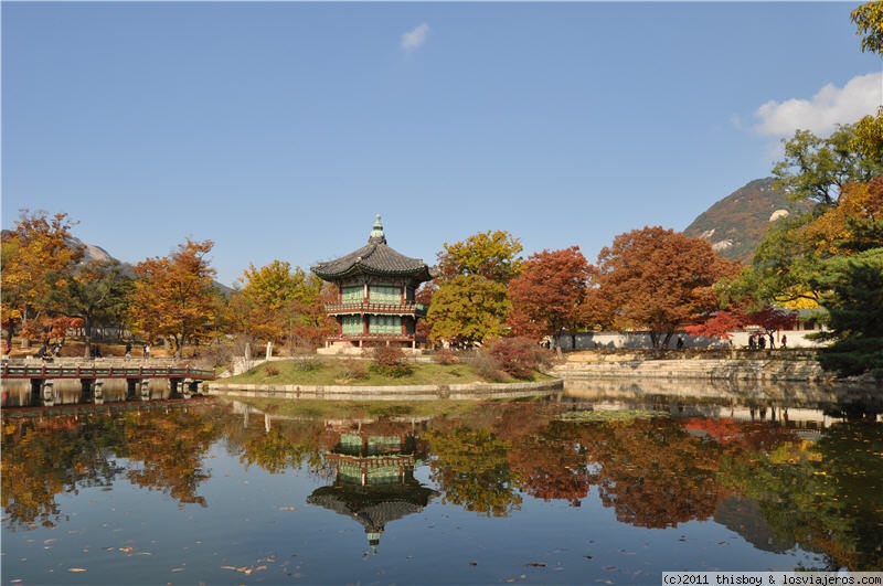 Dos lluviosas semanas en Corea del Sur