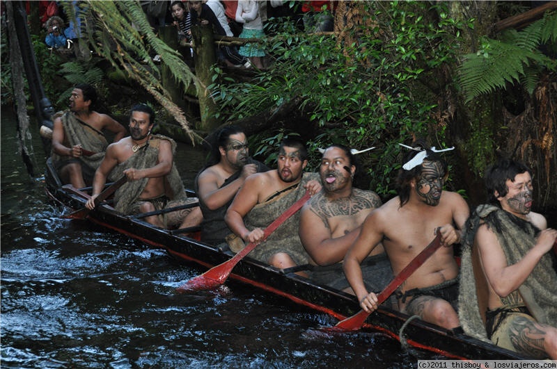 Auckland - Te Aroha - Matamata - Rotorua - Viaje alucinante por la Tierra Media (aka New Zealand o Aotearoa) (2011) (4)