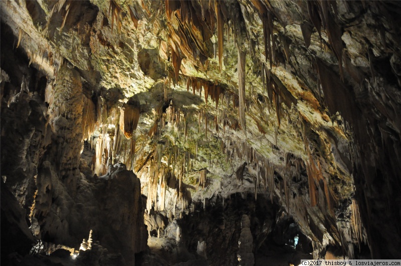 Slovenia: The Christmas Fairytale at Postojna Cave