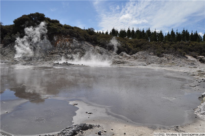 Auckland - Te Aroha - Matamata - Rotorua - Viaje alucinante por la Tierra Media (aka New Zealand o Aotearoa) (2011) (6)