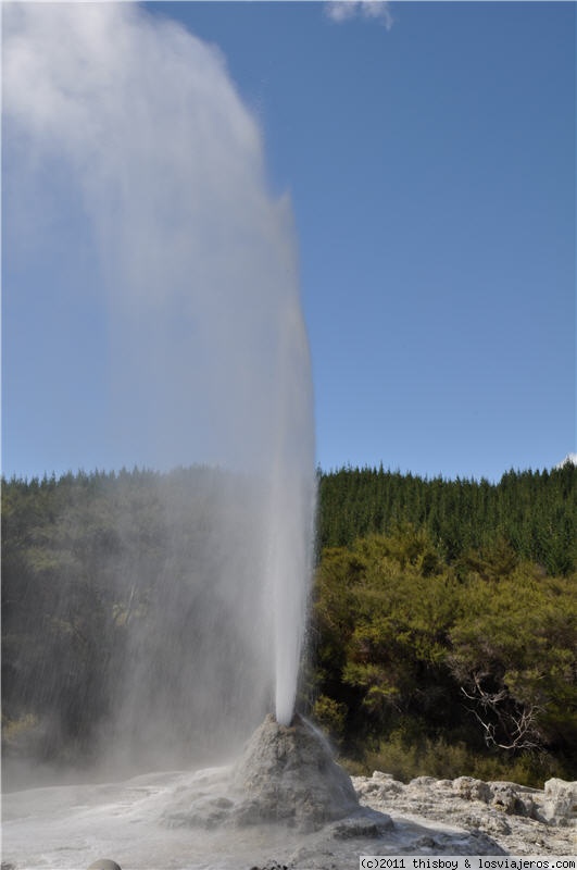 Rotorua - Taupo - Whakapapa Village (Tongariro National Park) - Wellington - Viaje alucinante por la Tierra Media (aka New Zealand o Aotearoa) (2011) (1)