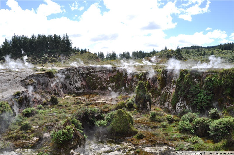 Rotorua - Taupo - Whakapapa Village (Tongariro National Park) - Wellington - Viaje alucinante por la Tierra Media (aka New Zealand o Aotearoa) (2011) (6)