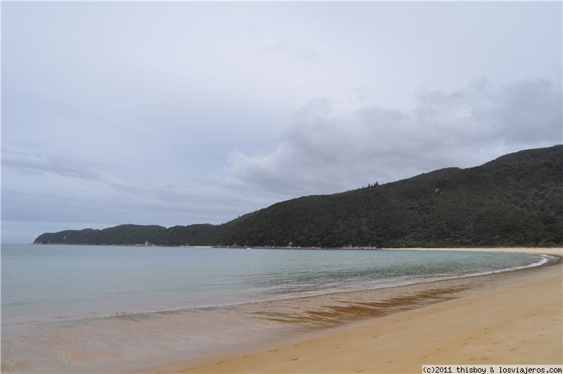 Viaje alucinante por la Tierra Media (aka New Zealand o Aotearoa) (2011) - Blogs of New Zealand - Abel Tasman National Park (3)