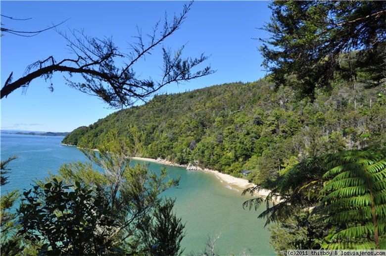 Viaje alucinante por la Tierra Media (aka New Zealand o Aotearoa) (2011) - Blogs de Nueva Zelanda - Abel Tasman National Park (10)