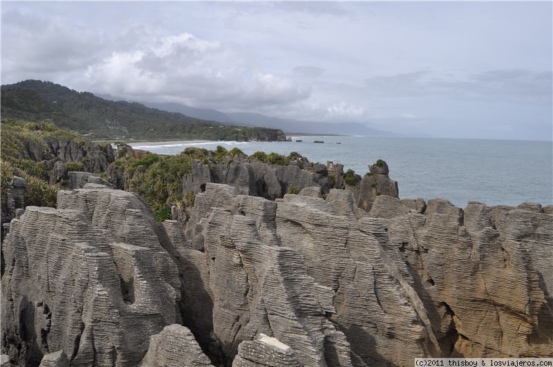 Viaje alucinante por la Tierra Media (aka New Zealand o Aotearoa) (2011) - Blogs de Nueva Zelanda - West Coast Primera Parte (Punakaiki - Hokitika - Glaciers) (1)