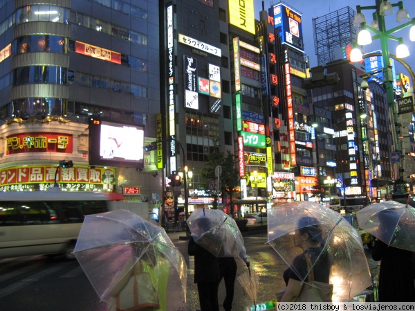 Etapa 1 – Vuelo de Ida, Tokyo y alrededores - Cuadernos Nipones (2007) (17)