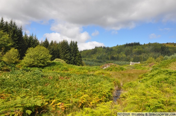 Etapa 3 – De Trossachs a Killin - Viajando por Escocia con una niña de 1 año (2014) (5)