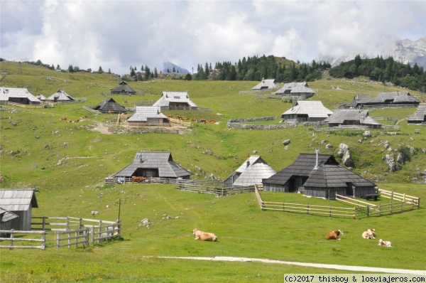 Eslovenia Velika Planina (3)
Otra vista idílica del valle con casas y vacas
