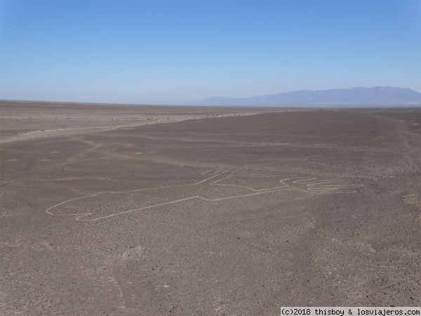 Etapa 2 – ICA y zona de Paracas y Nasca - Diarios de Candela la viajera. Rumbo a Perú (2018) (44)