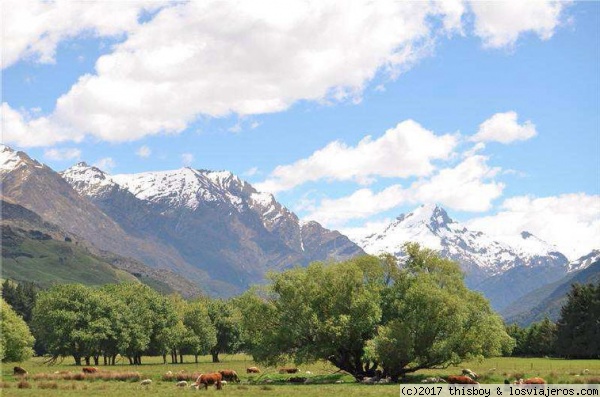 West Coast Segunda Parte (Haast Pass - Wanaka - Te Anau) - Viaje alucinante por la Tierra Media (aka New Zealand o Aotearoa) (2011) (4)