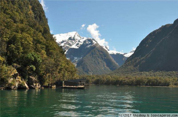 Te Anau - Milford Sound - Queenstown - Omarama - Viaje alucinante por la Tierra Media (aka New Zealand o Aotearoa) (2011) (4)