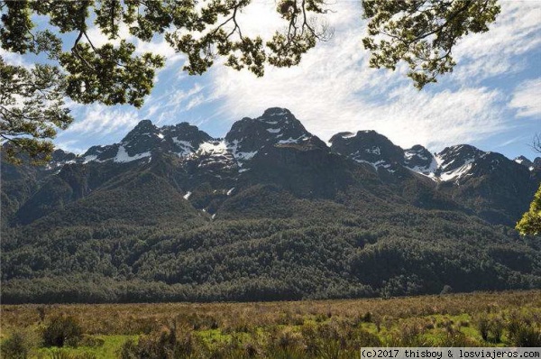 Te Anau - Milford Sound - Queenstown - Omarama - Viaje alucinante por la Tierra Media (aka New Zealand o Aotearoa) (2011) (7)