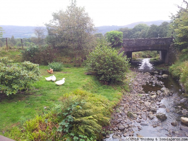 Etapa 6 – Ruta hacia el Loch Ness - Viajando por Escocia con una niña de 1 año (2014) (6)
