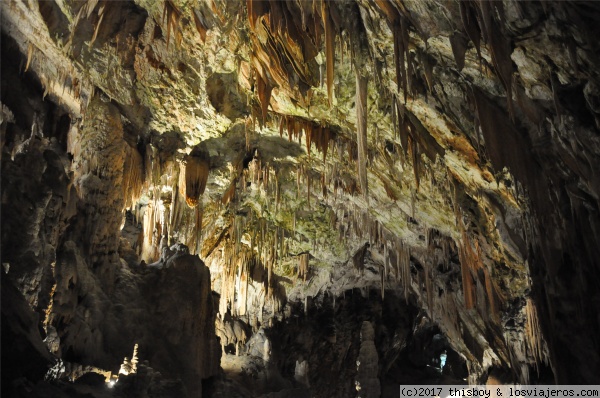 Etapa 7 – Cuevas de Postojna y Skocjan, Lipica y primer día de costa - Diarios de Candela la viajera. Descubriendo y enamorándonos de Eslovenia (2017) (3)
