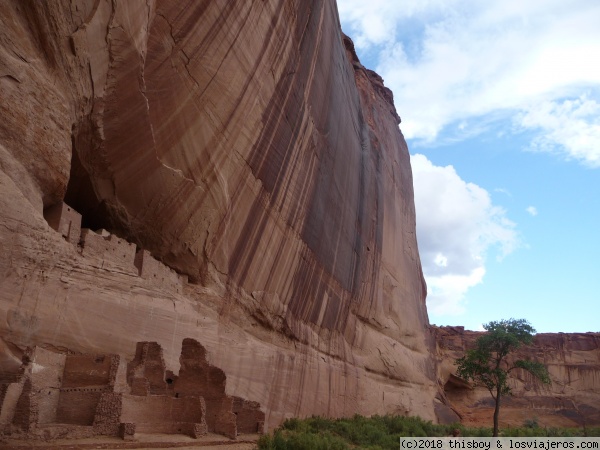 USA_Chinle_3
Otra foto más del chinle canyon
