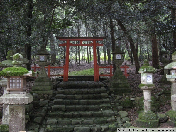 Nara_Kasuga Taisha_3
Un precioso torii que nos lleva al más allá
