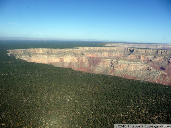 USA_Helicoptero_10
Grand Canyon. Bosque y un corte en seco
