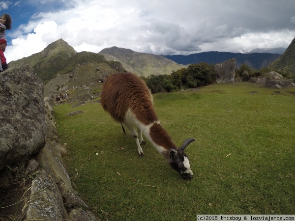 Etapa 4 – Road Trip por la región de Cusco - Diarios de Candela la viajera. Rumbo a Perú (2018) (42)