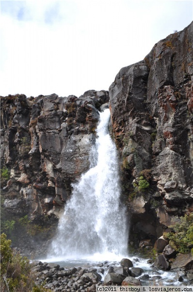 Tongariro NP - Taranaki Falls
Vista de las cascadas Taranaki en el Parque Nacional de Tongariro. Eran espectaculares, así como el frío que hacía ese día, con un fuerte viento, e incluso nieve.
