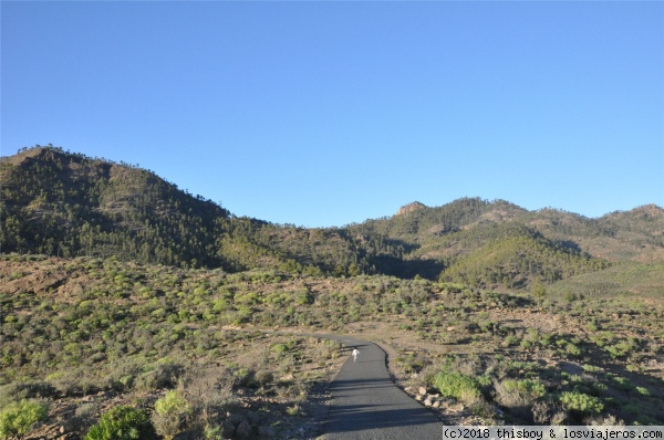 Etapa 2 – Destino sur y centro - Diarios de Candela la viajera. Ruta por Gran Canaria (2017) (16)