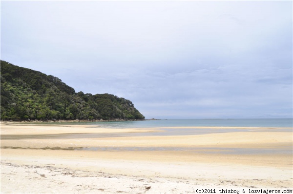 Abel Tasman - Bark Bay Beach
Foto de la playa de Bark Bay, otra de las que se inundan en marea alta, aunque esta tiene un trocito para pasar. Pero nosotros la pillamos también en marea baja. Aún así, había que cruzar arroyitos que llegaban al tobillo.
