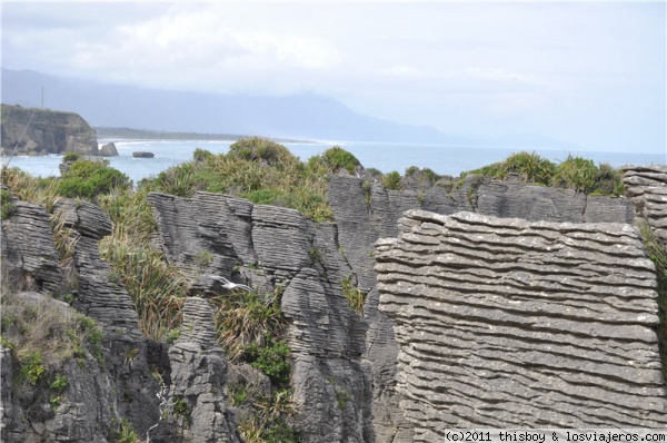 Nueva Zelanda - Punakaiki - Detalle de Pancake Rocks
Foto de las famosas Pancake Rocks.
