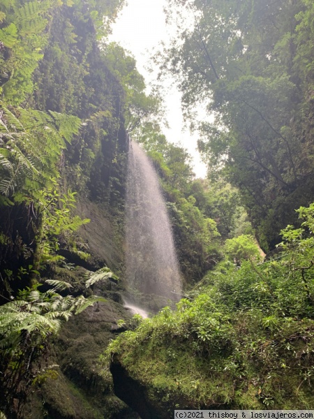 Etapa 4 – Zona noreste - Diarios de Candela la viajera. Visita a La Palma en Enero de 2020 (6)