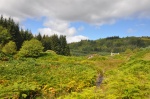 Scotland_Trossachs_2