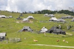 Eslovenia Velika Planina (3)
Eslovenia, Velika, Planina, Otra, vista, idílica, valle, casas, vacas