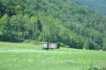 Eslovenia Car Train Panales (1)
Eslovenia, Train, Panales, Remolque, paneles, medio, campo